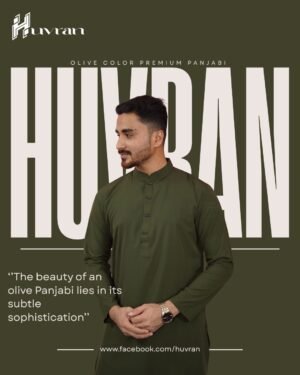 Huvran -এর অলিভ কালার প্রিমিয়াম মাইক্রোস্টিচ সলিড পাঞ্জাবি